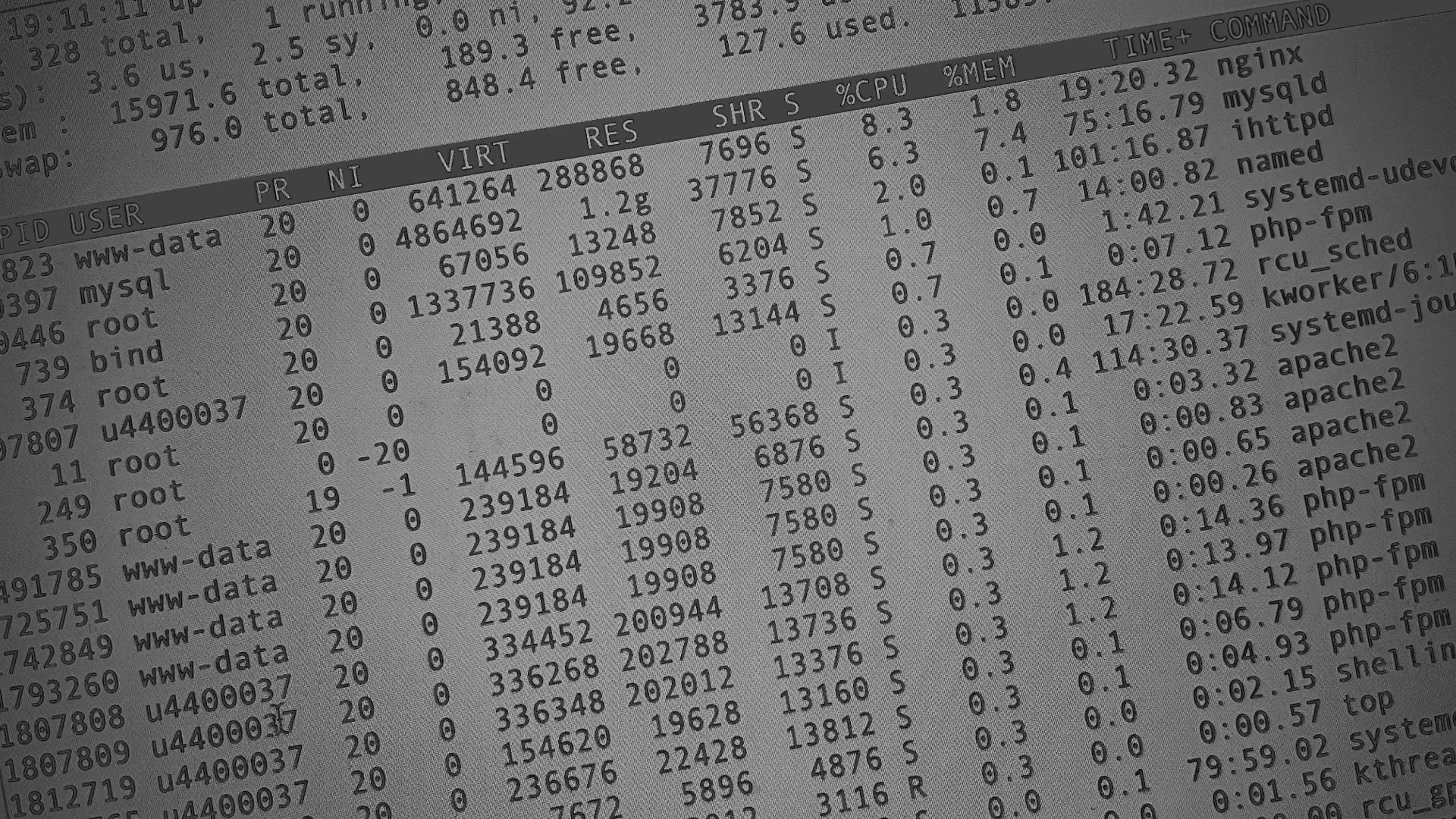 Настройка сервера в Гороховце Настройка сервера в Гороховце